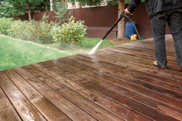 Best Boat and Dock Cleaning  in Juno Ridge, FL