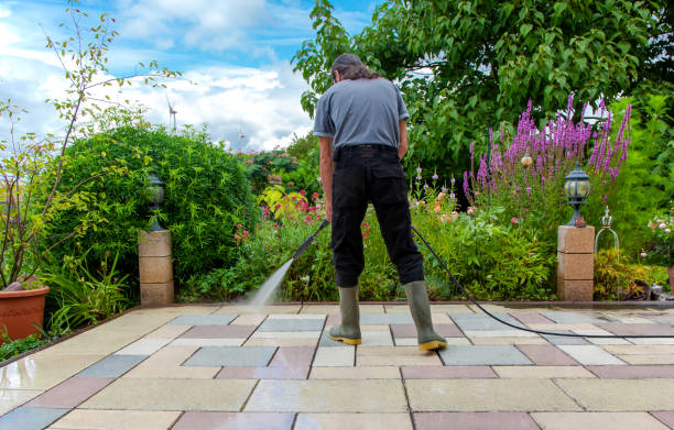Best Driveway Pressure Washing  in Juno Ridge, FL